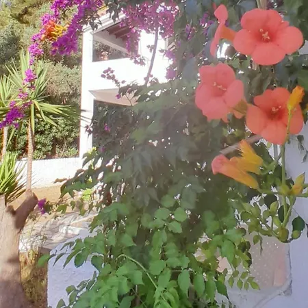 Parachos Trulos Beach Accomodation 500 Metres From The Sea Skiathos Exterior photo