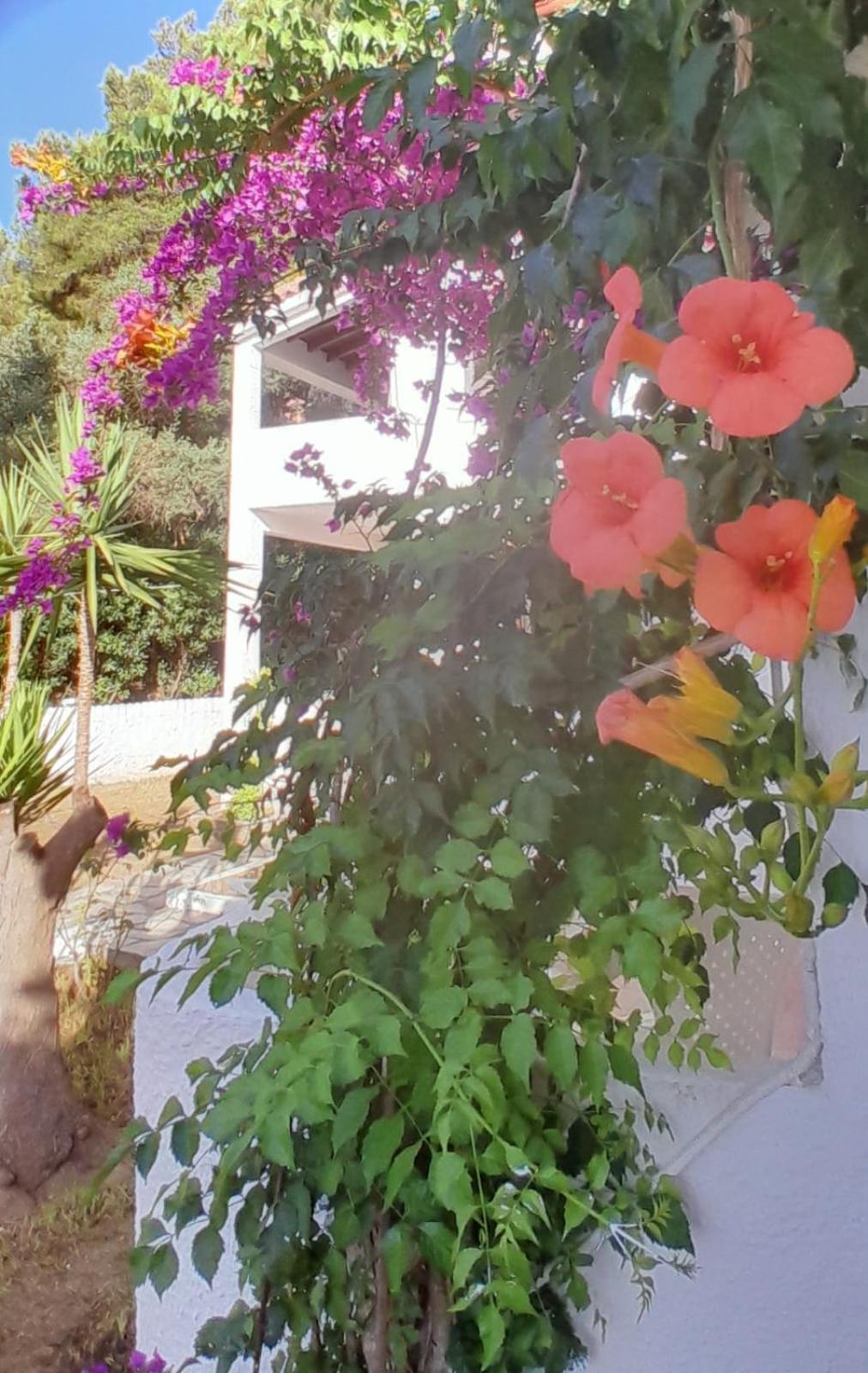Appartement Parachos Trulos 500 Metres From The Sea *