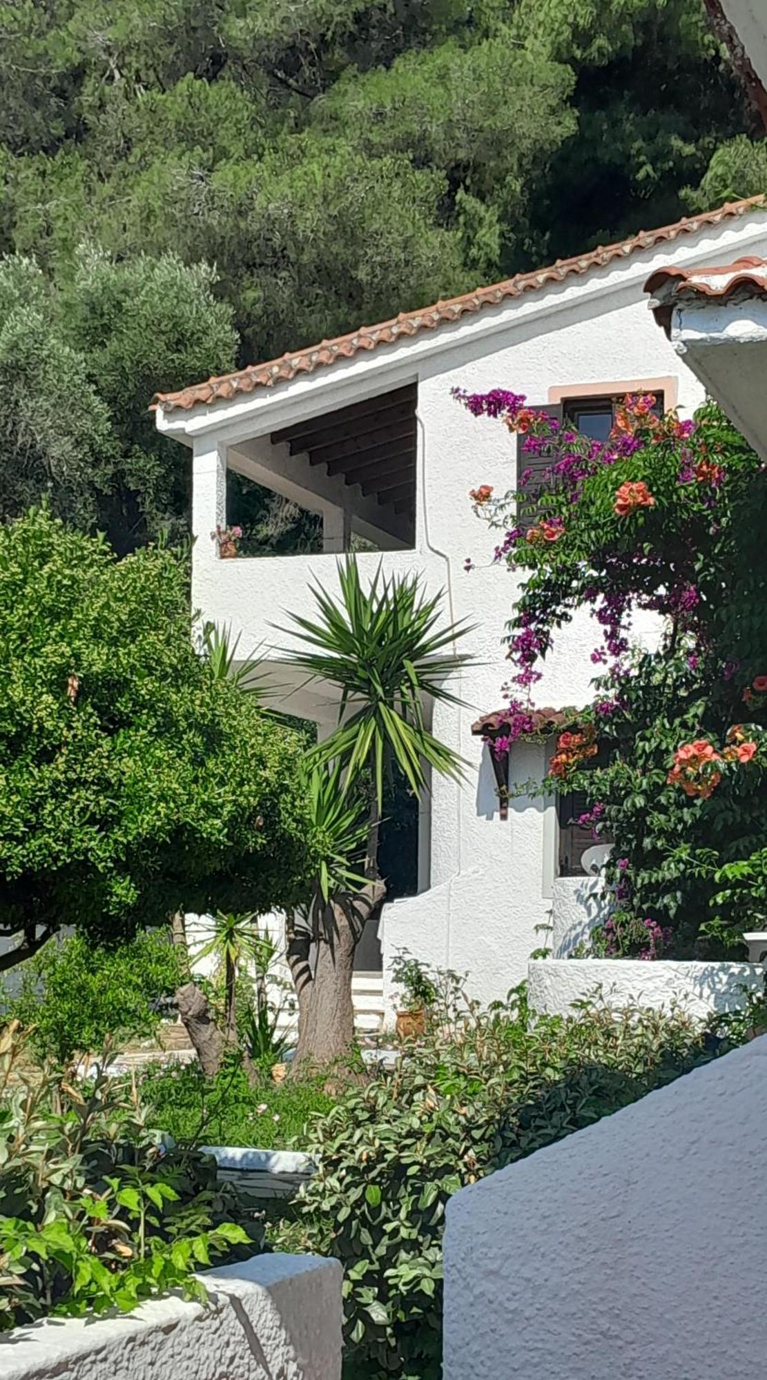 Parachos Trulos 500 Metres From The Sea * Skiathos Chora